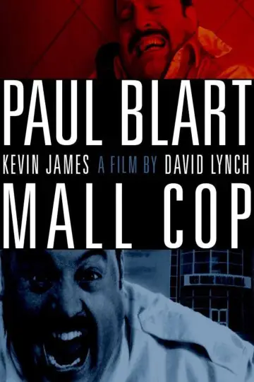 Poster to the movie "Paul Blart: Mall Cop" #788940