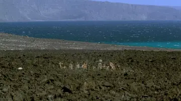 Backdrop to the movie "Beau Travail" #1003125