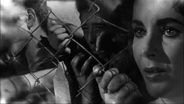 Backdrop to the movie "Suddenly, Last Summer" #1045863