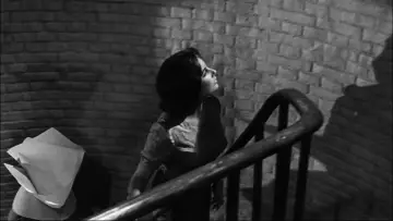 Backdrop to the movie "Suddenly, Last Summer" #1045872