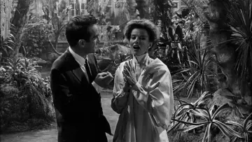Backdrop to the movie "Suddenly, Last Summer" #1045881