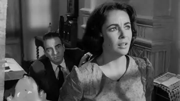 Backdrop to the movie "Suddenly, Last Summer" #407220