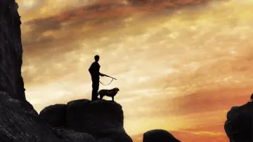 Backdrop to the movie "The King of the Hill" #1146067