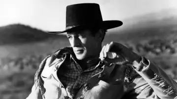 Backdrop to the movie "The Westerner" #1061259