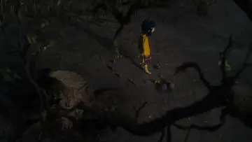 Backdrop to the movie "Coraline" #522438