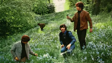 Backdrop to the movie "Help!" #1566978