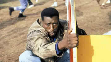 Backdrop to the movie "Passenger 57" #883682