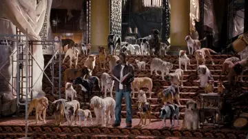 Backdrop to the movie "Hotel for Dogs" #904793