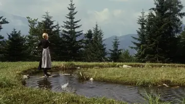Backdrop to the movie "The Sound of Music" #599590