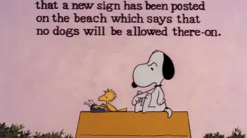 Backdrop to the movie "Snoopy, Come Home" #1058342
