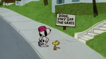 Backdrop to the movie "Snoopy, Come Home" #1058344