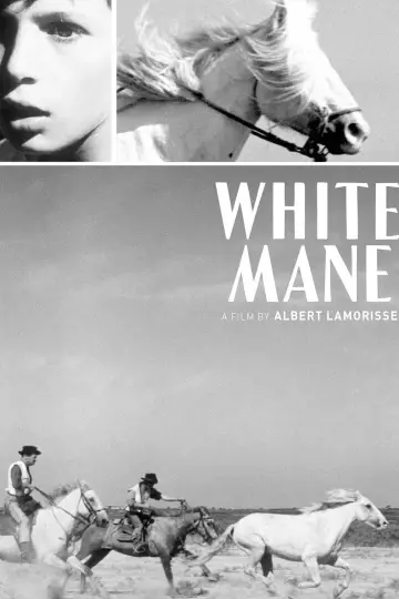 Poster to the movie "White Mane" #1096775