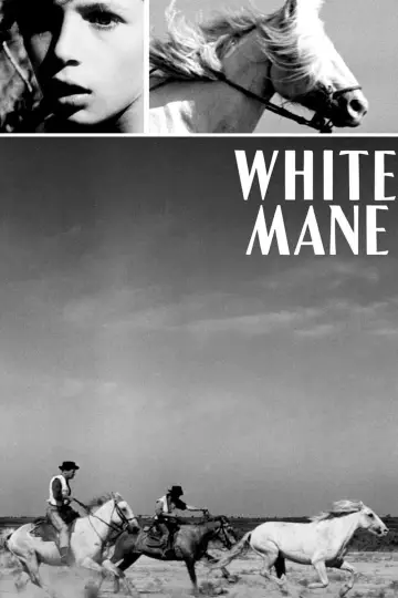 Poster to the movie "White Mane" #1096776