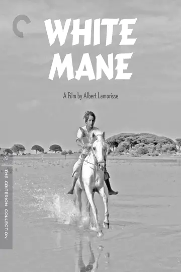 Poster to the movie "White Mane" #456591