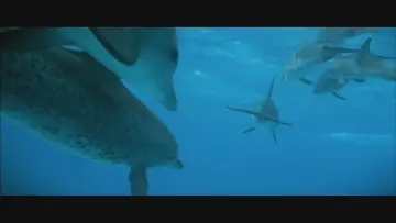Backdrop to the movie "Atlantis" #1616459