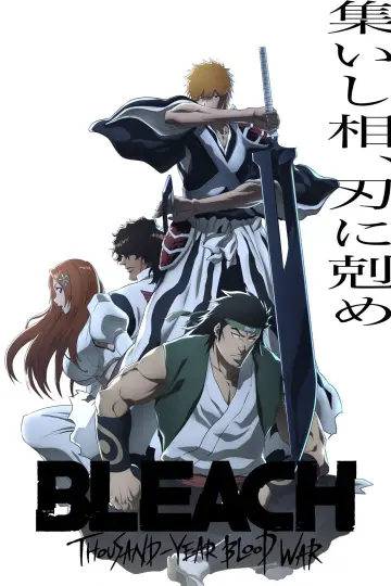 Poster to the movie "Bleach the Movie: Memories of Nobody" #943836
