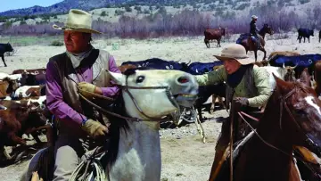 Backdrop to the movie "The Cowboys" #671031