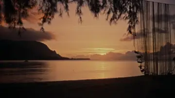 Backdrop to the movie "Donovan