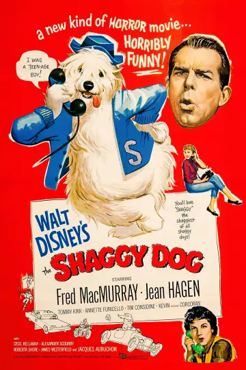 Poster to the movie "The Shaggy Dog" #1078358