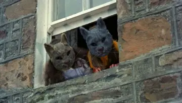 Backdrop to the movie "The Wicker Man" #732875