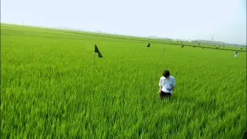 Backdrop to the movie "All About Lily Chou-Chou" #1164931
