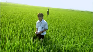 Backdrop to the movie "All About Lily Chou-Chou" #1164934
