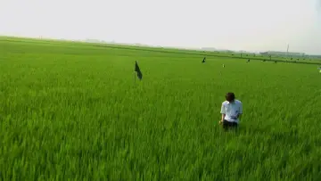 Backdrop to the movie "All About Lily Chou-Chou" #327359