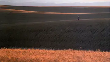 Backdrop to the movie "Days of Heaven" #716373
