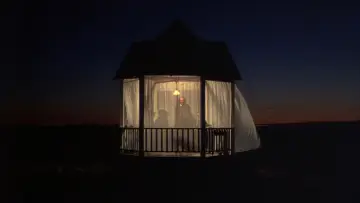 Backdrop to the movie "Days of Heaven" #716379