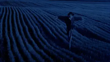 Backdrop to the movie "Days of Heaven" #716384