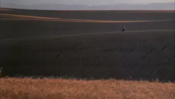 Backdrop to the movie "Days of Heaven" #716387