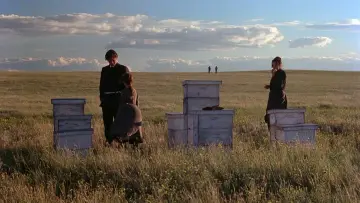 Backdrop to the movie "Days of Heaven" #716392