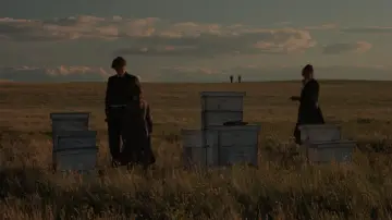 Backdrop to the movie "Days of Heaven" #786584
