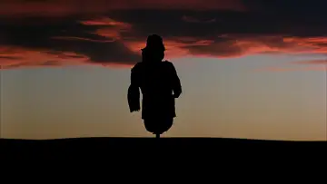 Backdrop to the movie "Days of Heaven" #986732