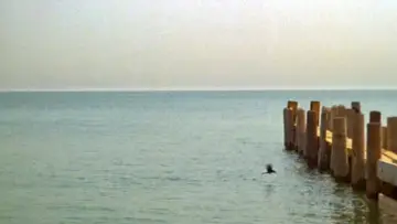 Backdrop to the movie "Ordinary People" #898153