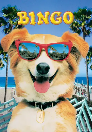 Poster to the movie "Bingo" #1074723