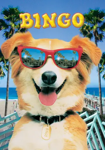 Poster to the movie "Bingo" #1074724