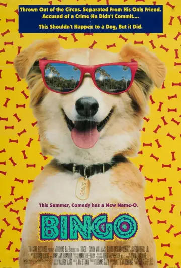 Poster to the movie "Bingo" #1074727