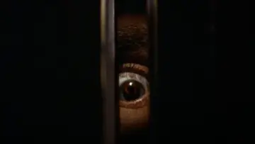 Backdrop to the movie "Black Christmas" #870762