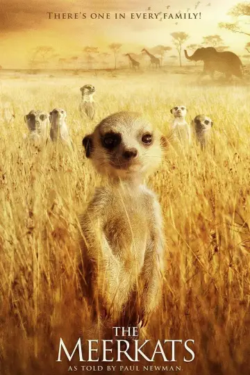 Poster to the movie "The Meerkats" #1131299