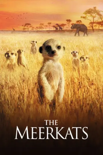 Poster to the movie "The Meerkats" #1131300