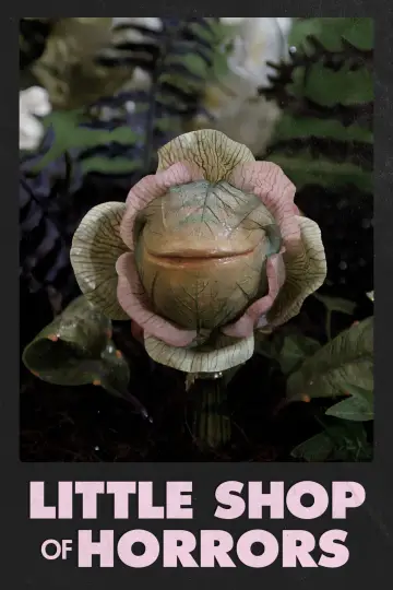 Poster to the movie "Little Shop of Horrors" #1180494