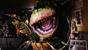 Backdrop to the movie "Little Shop of Horrors" #668259