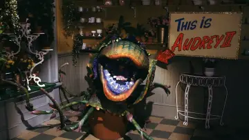 Backdrop to the movie "Little Shop of Horrors" #668260