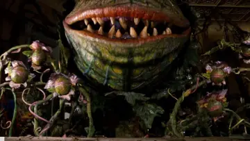 Backdrop to the movie "Little Shop of Horrors" #668268