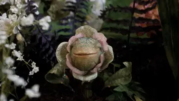 Backdrop to the movie "Little Shop of Horrors" #969716