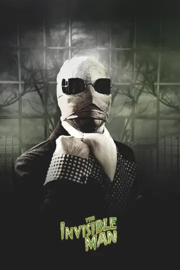 Poster to the movie "The Invisible Man" #986442