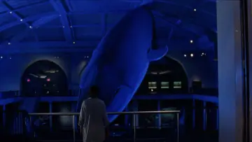 Backdrop to the movie "The Squid and the Whale" #993025