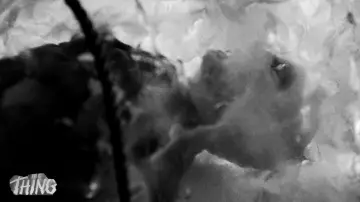 Backdrop to the movie "The Thing from Another World" #142997