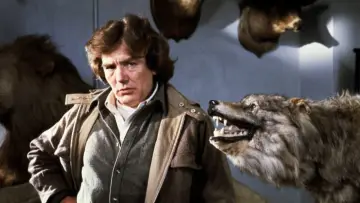 Backdrop to the movie "Wolfen" #394884